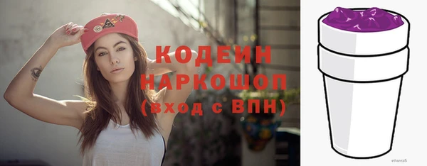 твердый Краснослободск