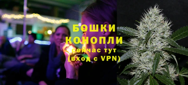 твердый Краснослободск