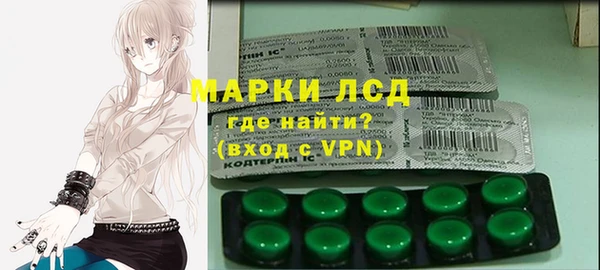 твердый Краснослободск